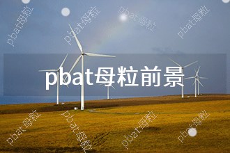 2024年pbat母粒发展前景 趋势预测