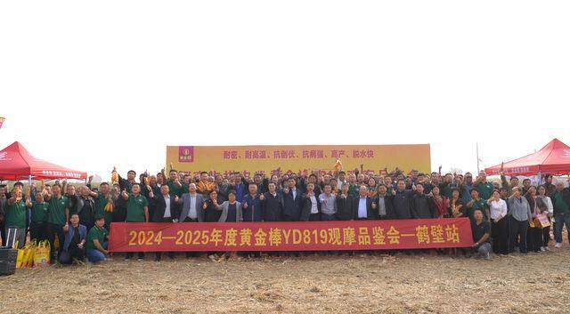 黄金棒YD819：解锁玉米高产密码——2024—2025年度黄金棒YD819观摩品鉴会在鹤壁成功举办(图16)