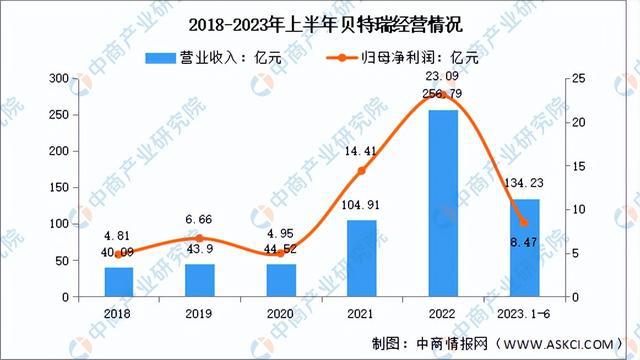 2024年中国纳米材料行业市场前景预测研究报告（简版）(图13)