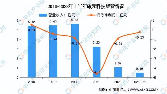 2024年中国纳米材料行业市场前景预测研究报告（简版）(图19)