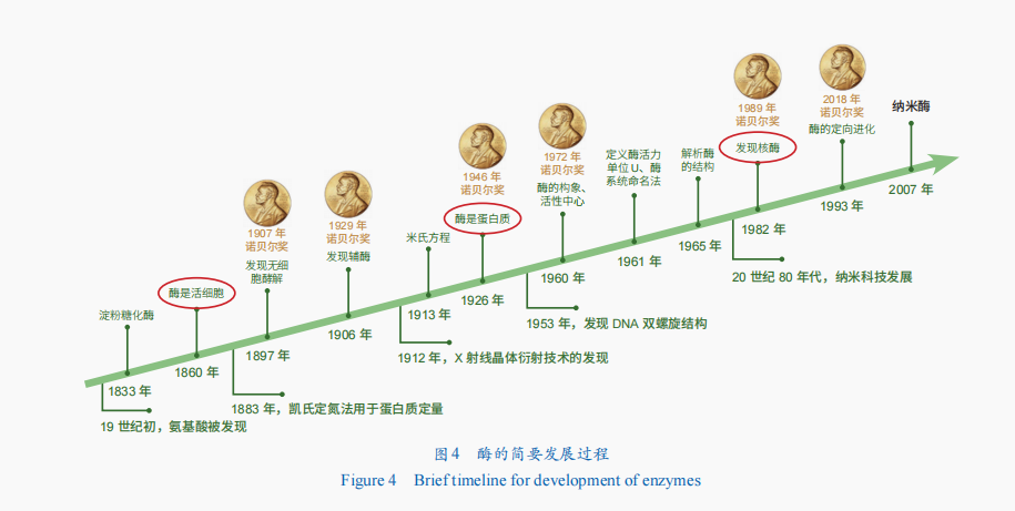 纳米酶：结合天然酶和人工催化的力量(图4)