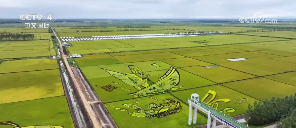荒原变粮仓 “数”说北大荒新型农业现代化道路(图1)