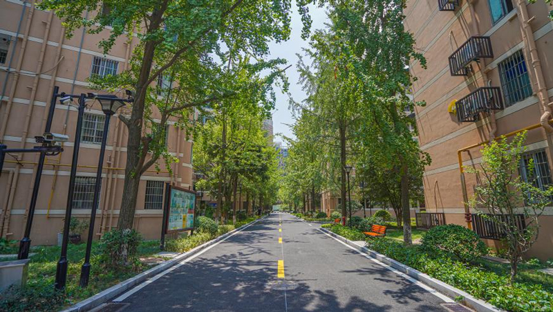 杭州市白杨街道：社区旧改创出未来社区和美新图景