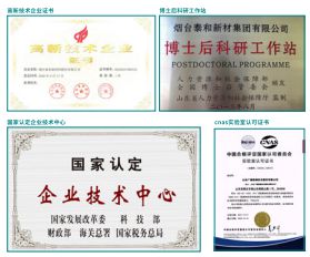 泰和新材：高性能纤维产业化“开创者”的魅力与实力(图3)