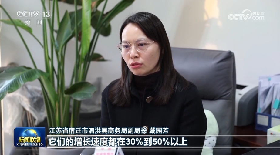 【锚定现代化 改革再深化】江苏拓展跨境电商新模式 激活产业新动力(图2)