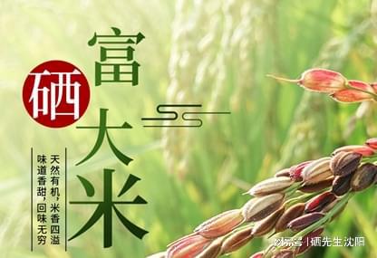 农业的未来是功能农业大健康的未来是生物纳米技术