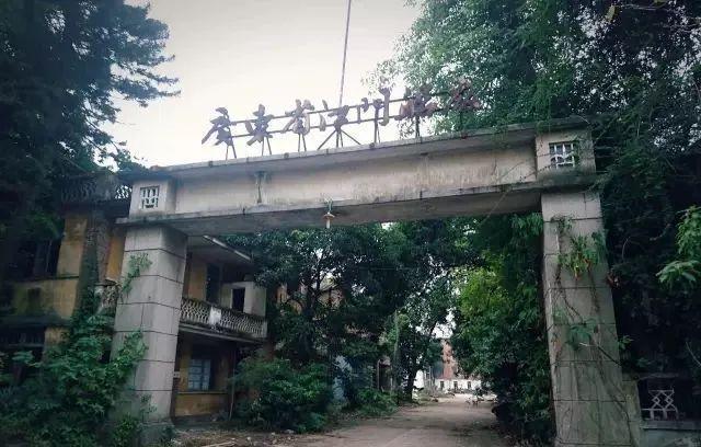 江门消失的7大工厂！哪个最意难平？(图11)