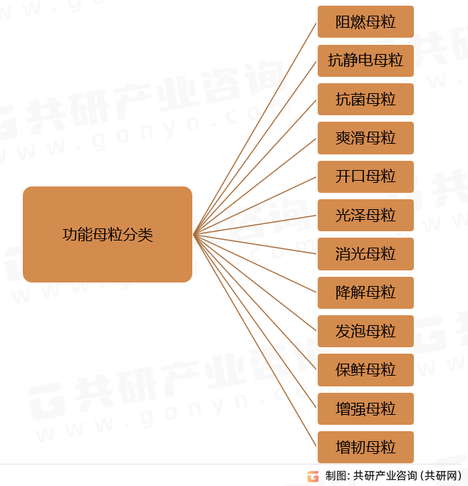 共研网调研-中国功能母粒报告(图1)