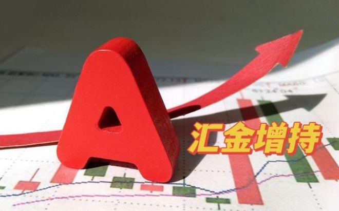 重磅消息！中央汇金大举加仓这三家龙头爆发潜力远超南京化纤！(图1)