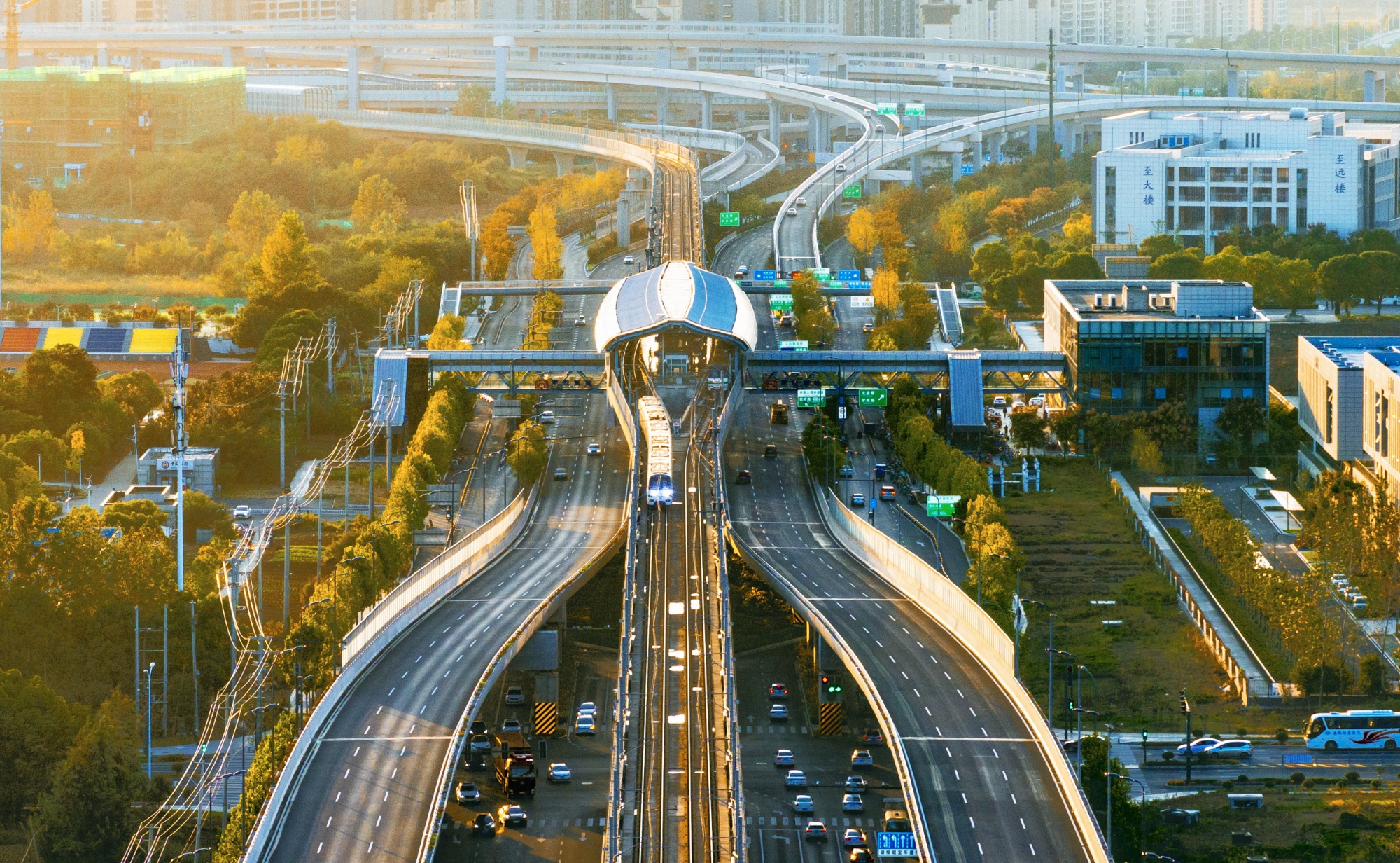 高质量发展看中国丨77%中看合肥新站发展韧劲(图4)