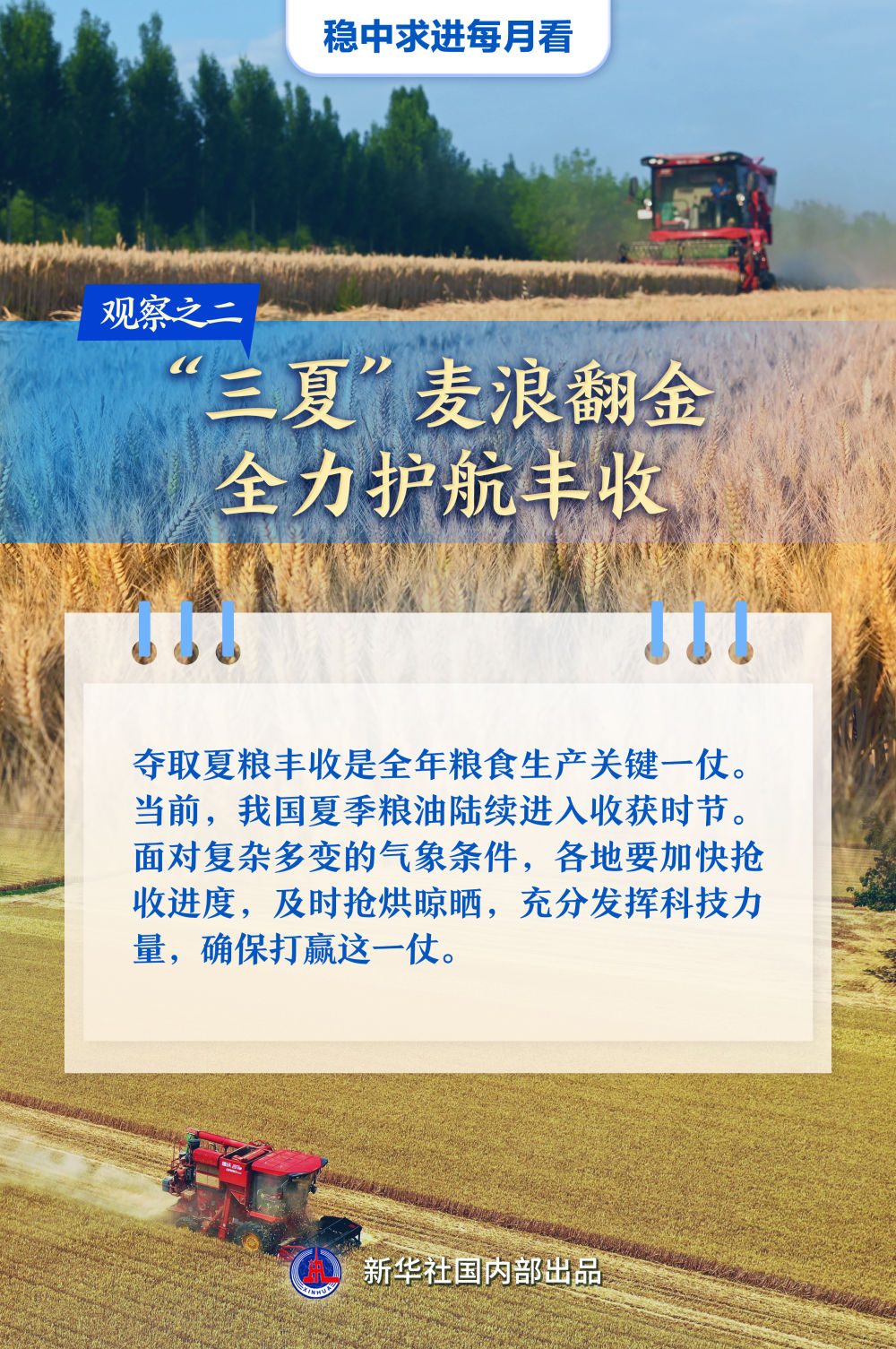 稳中求进每月看｜破浪前行风帆劲——5月全国各地经济社会发展观察(图2)