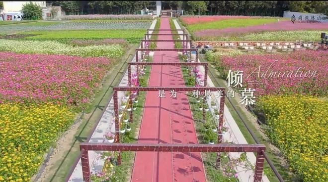 全城聚焦▷闵行尚湾林语官方售楼处发布：尚湾林语上海鎏金新篇(图36)