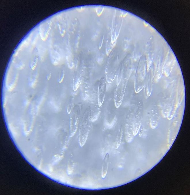 翰晖新材：饮料食品包装行业塑料着色剂和功能性添加剂年产能5000吨丨ChinaReplas2025展商风采(图3)