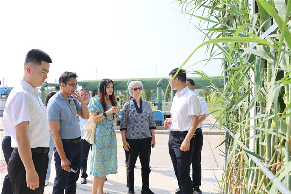 新乡化纤聚焦绿色纤维创新与可持续发展(图6)