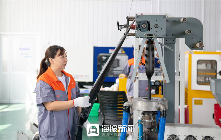 从“本土集群”到“全球布局”庆云徐园子乡新材料产业园书写外贸新篇章_大众网(图5)