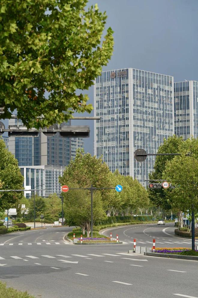 在世界互联网大会永久举办地有条“千亿大道”！(图6)