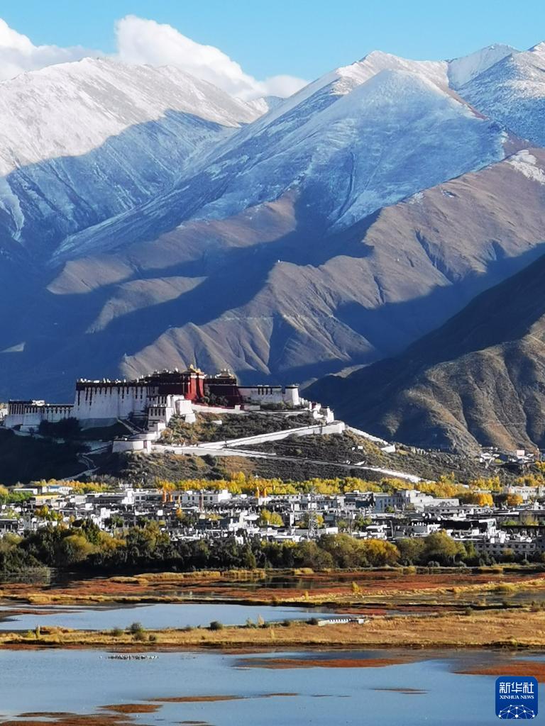 跌停182TV下载182TV安卓免费版V4020引发网友热议_3(图2)