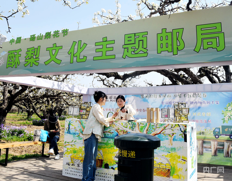 安徽砀山：应需而为“四举措”尽“邮”所能促振兴(图2)