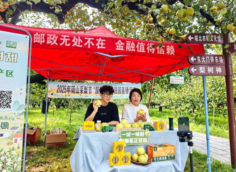 安徽砀山：应需而为“四举措”尽“邮”所能促振兴