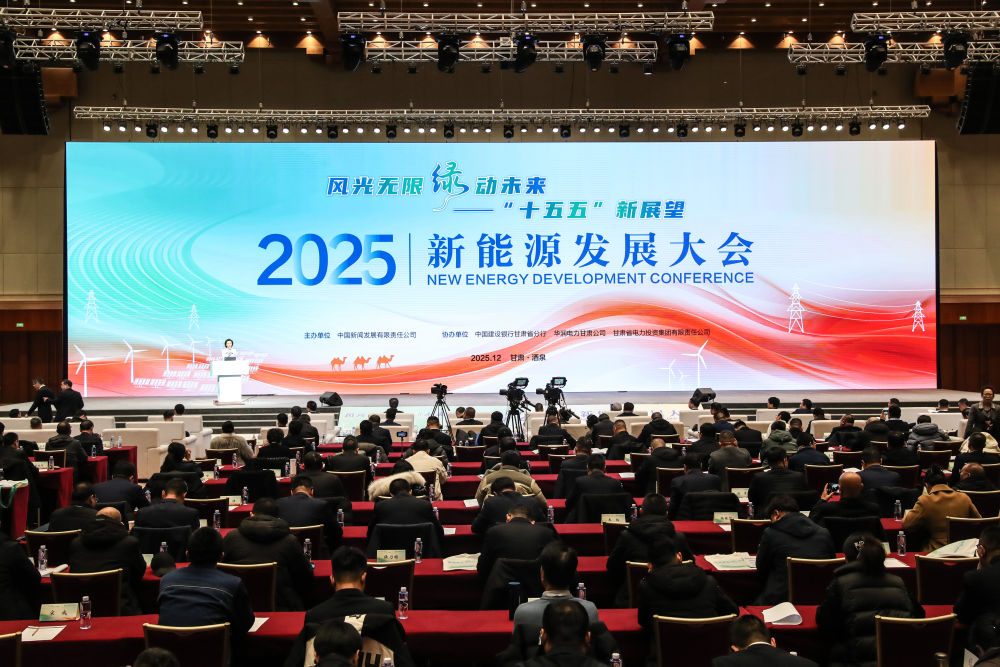 新能源发展大会｜风光无限“绿”动未来：2025新能源发展大会隆重开幕