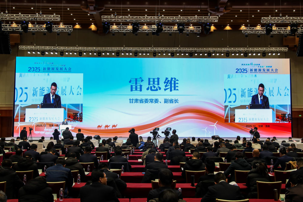 新能源发展大会｜风光无限“绿”动未来：2025新能源发展大会隆重开幕(图2)