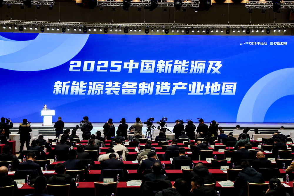 新能源发展大会｜风光无限“绿”动未来：2025新能源发展大会隆重开幕(图3)