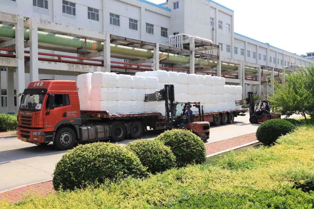 唐山三友化纤：昂首阔步勇登攀(图2)