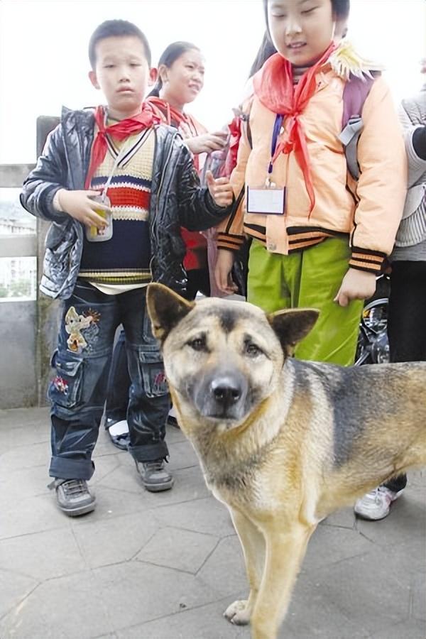 纪实：福建男子持刀闯入小学55秒屠戮13人作案动机让家长崩溃(图12)