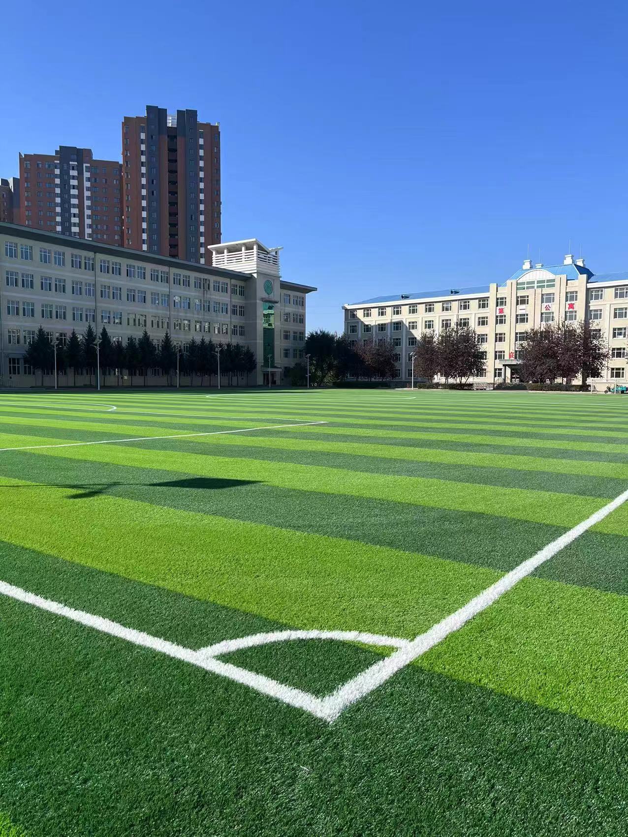 2026年4月河北仿真草坪采购全攻略：口碑前五品牌深度解析(图1)