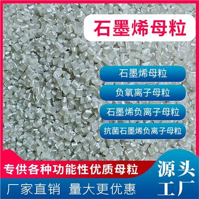 2024年塑料浓缩母粒项目可行性研究报告(图1)